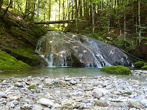 chute d'eau foncine le haut